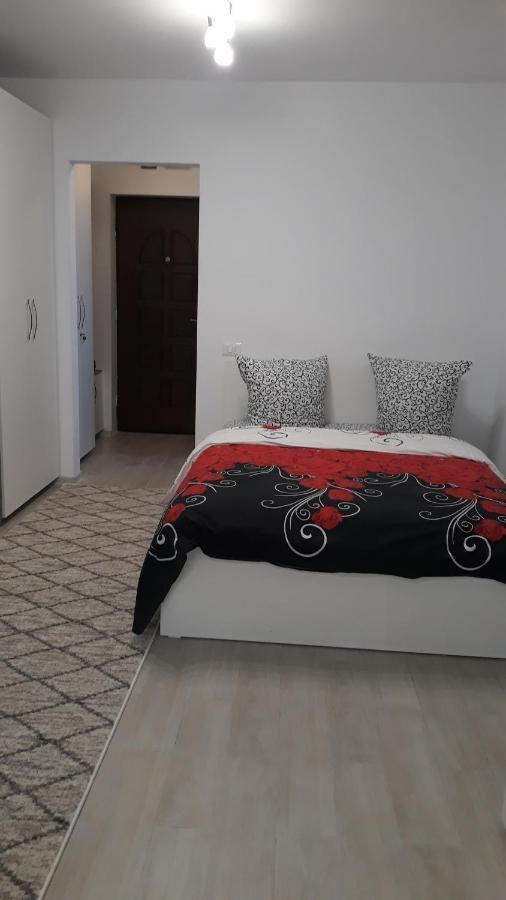 Irvin Apartament Iasi Eksteriør bilde