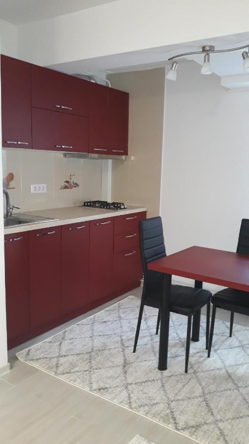 Irvin Apartament Iasi Eksteriør bilde